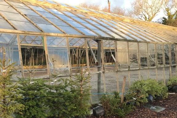 Damage to a greenhouse caused by Storm Goretti at Lanjeth Nursery and Water Gardens.