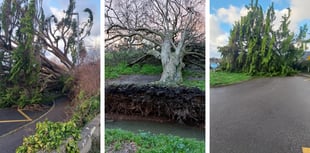 Residents asked to avoid travel 