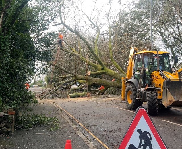 Why digital landlines failed in Storm Goretti
