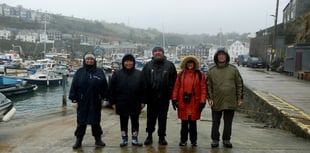 Winter visitors spotted during birdwatching trip at harbour