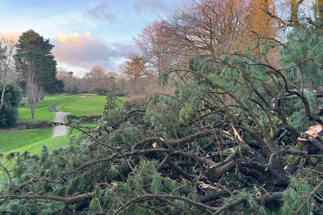 Golf club shut for foreseeable future after severe storm damage