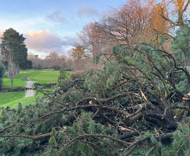 Golf club shut for foreseeable future after severe storm damage