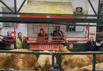 Hallworthy Livestock Market Report: Thursday, January 15