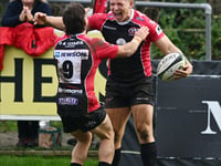 Pirates ready to tackle Premiership giants Harlequins