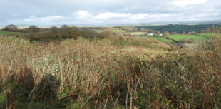 Tip top transformation: Former landfill could become new homes