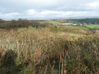 Planning: Homes on former landfill could be given approval 