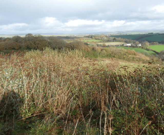 Tip top transformation: Former landfill could become new homes