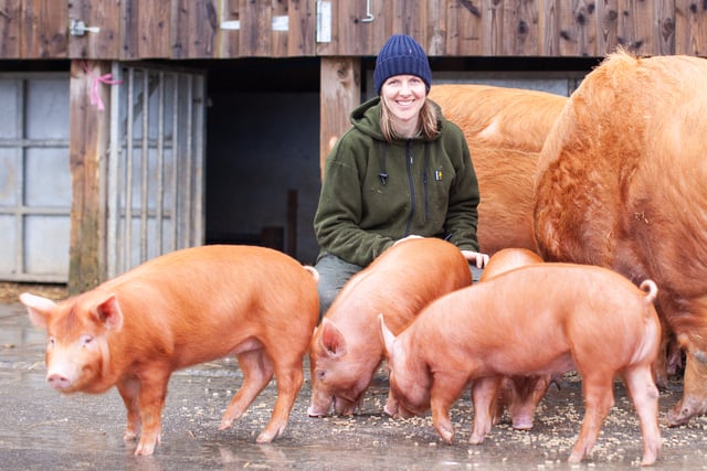 Farm fun and retro rollerskating arriving to Heligan for half-term