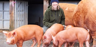 Farm fun and retro rollerskating arriving to Heligan for half-term