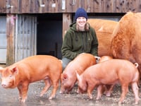 Farm fun and retro rollerskating arriving to Heligan for half-term