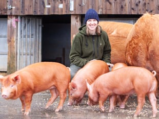Farm fun and retro rollerskating arriving to Heligan for half-term