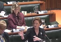 Maximum council tax hike to 'maintain' police services agreed