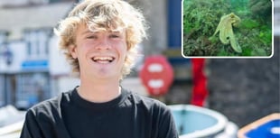 Octopus surge threatens future of local shellfish fishing