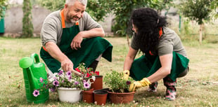 Urban Green Shoots project takes root in Liskeard