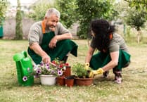 Urban Green Shoots project takes root in Liskeard