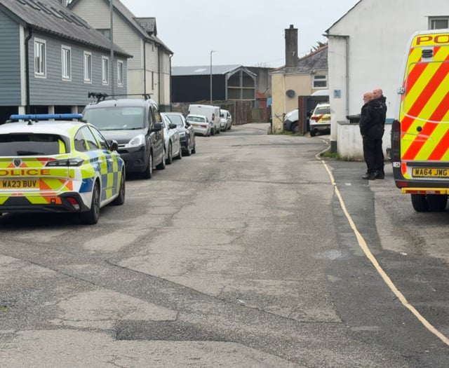 Bomb disposal team investigate after suspected 'grenade' found