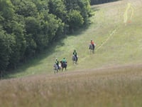 Historic ride at Boconnoc awarded Area Championship Qualifier Status