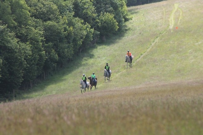 Boconnoc - Cantering through Paradise.