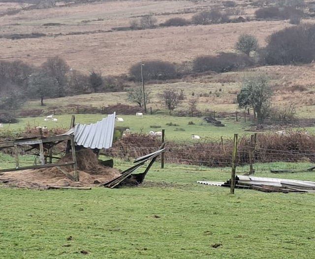 Community news from across South East Cornwall