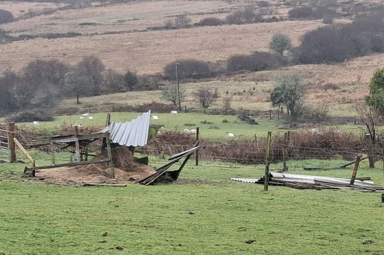 Damage caused during the recent storms to one of the shelters at Alpaca Trekking