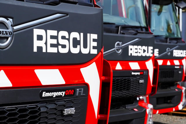 Firefighters rescue cat trapped between garage walls