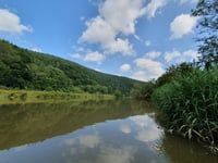 Drip Drip Tamar calls on locals to join next phase  