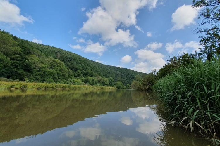 Drip Drip Tamar is now ready to widen its focus to other villages along the River Tamar