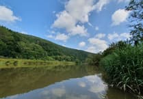 Drip Drip Tamar calls on locals to join next phase