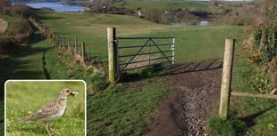 Nature reserve issues stark warning to dog owners