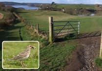 Nature reserve issues stark warning to dog owners