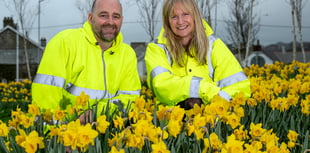 Grounds staff praised for efforts in producing spring colour