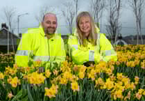 Grounds staff praised for efforts in producing spring colour in St Austell