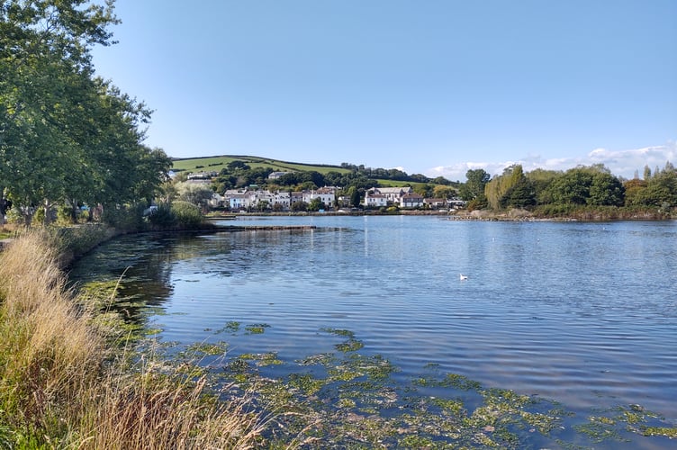 Wendy Phillips has been retracing the footsteps of her great-grandparents, Jessie and James Warren, who once lived at 71 Millpool Head in Millbrook