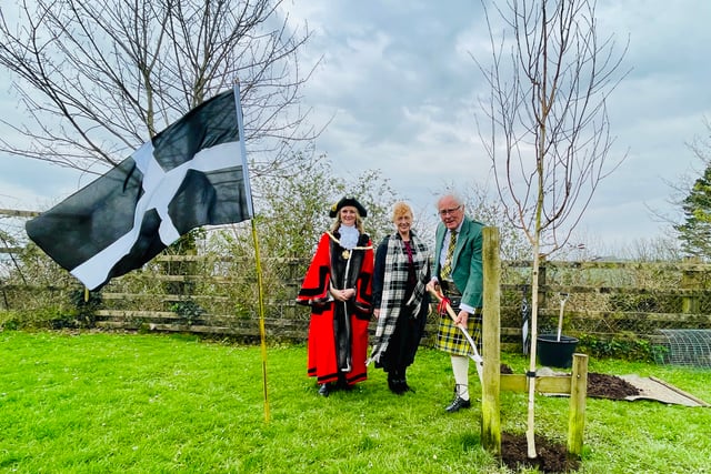 Tree planting project helps make Saltash greener