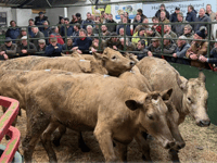 Hallworthy Livestock Market Report: Thursday, March 12