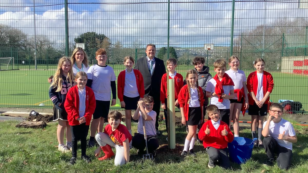 Pupils help to plant trees at primary school