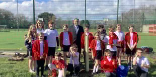 Pupils help to plant trees at primary school