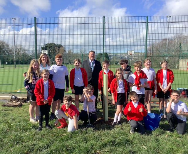 Pupils help to plant trees at primary school