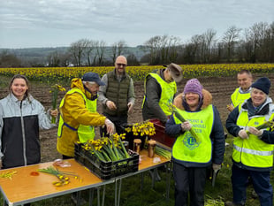 Lions boost funds with annual daffodil sale