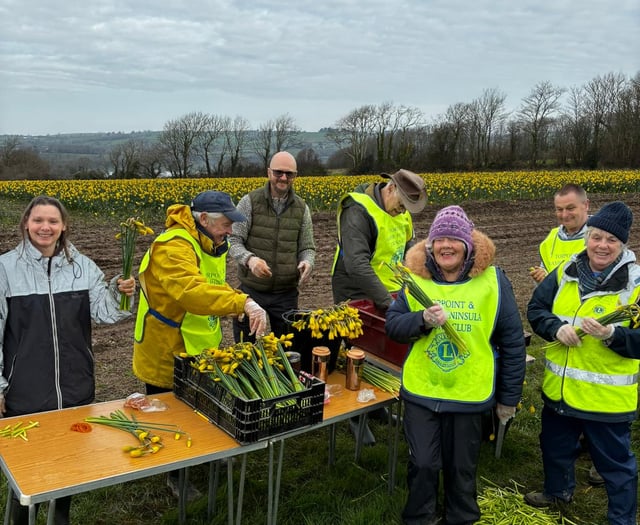 Lions boost funds with annual daffodil sale