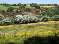 Henwyn tyller/Place names: Bissoe
