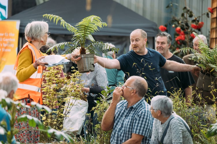 Show director Mark Holman mucking in at the Cornwall Spring Flower Show