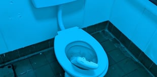 Outrage as vandals target Saltash’s Longstone Park toilets