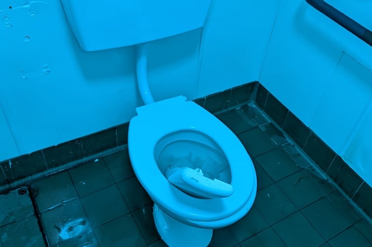 Some of the damage caused at the public toilets in Longstone Park in Saltash