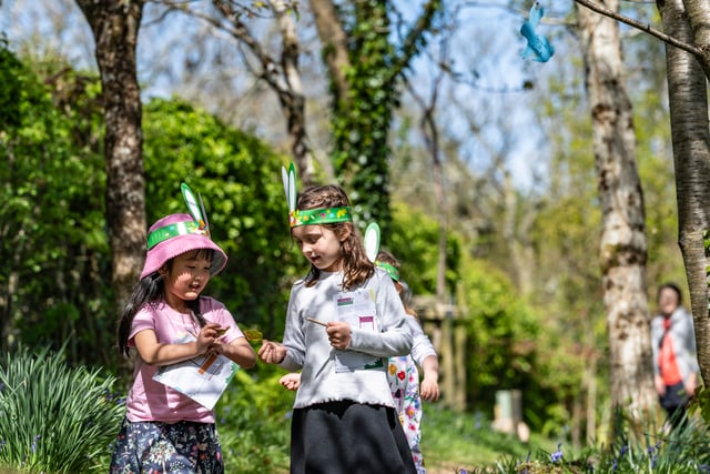 Antony House reopens its doors ahead of Easter holidays
