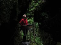 National Trust calling everyone to write to MP to safeguard nature