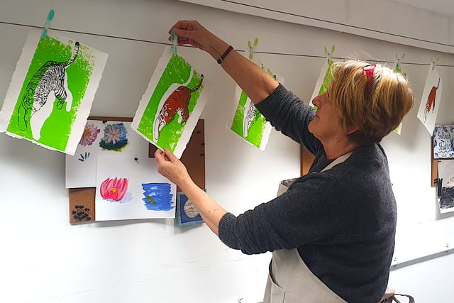 Vibrant exhibition to brighten town