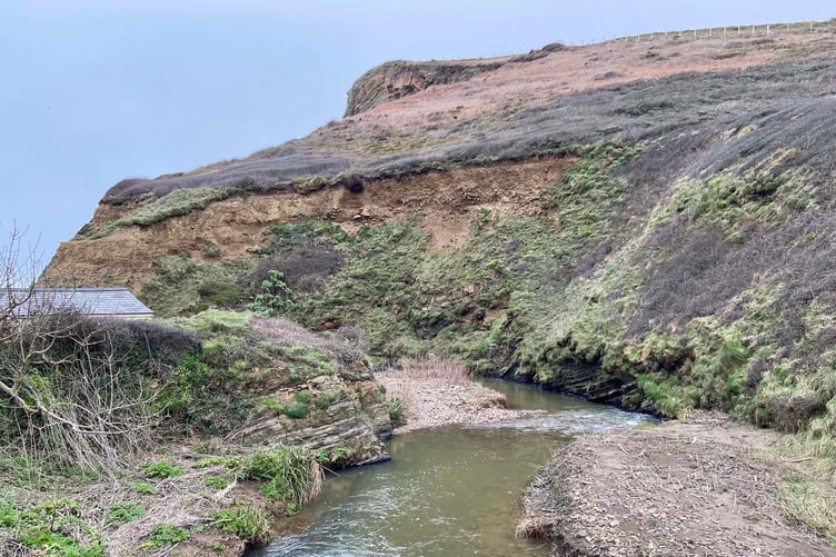 The stream that runs through Millook in North Cornwall to the sea. (Picture: Andrew Townsend)