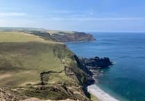 Coastal Cornwall - Woods where you feel you've stepped back in time