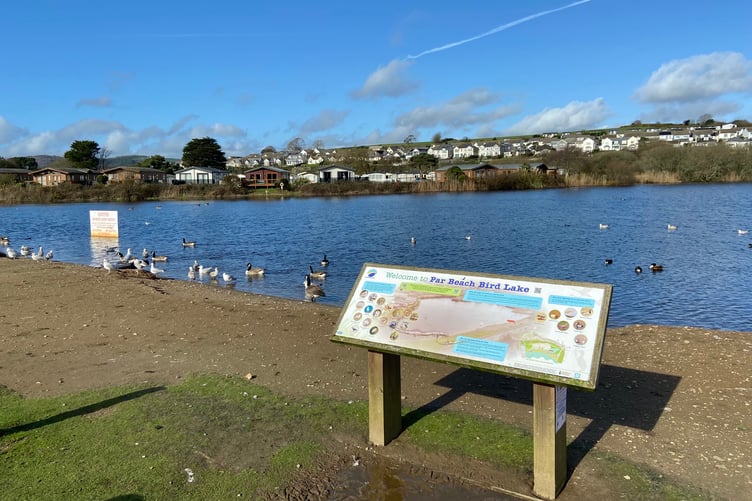 Par Beach bird lake is a haven for wildlife. (Picture: Andrew Townsend)